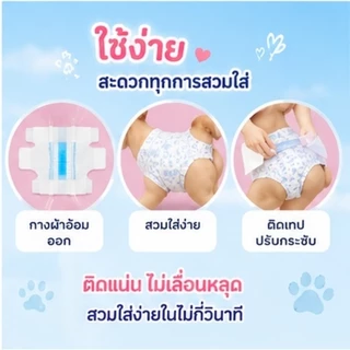 【ซื้อ 1 แถม 3】Qti ผ้าอ้อมสุนัขแบบใช้แล้วทิ้ง ชายและหญิง ชุดอุปกรณ์สําหรับสัตว์เลี้ยง 17/51/15/45/12/36/11/33 ชิ้น