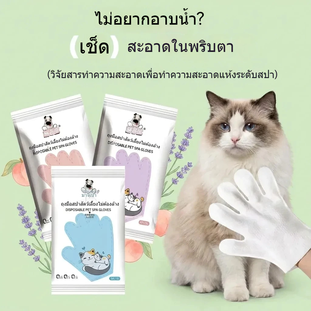 จัดส่งจากท้องถิ่น🚚ถุงมืออาบน้ำสัตว์เลี้ยง No Rinse แมว-สุนัข อาบน้ำแห้งไม่ต้องล้าง สูตรอ่อนโยน ไม่ระคายเคือง กำจัดกลิ่นอับ 6-18ชิ้น
