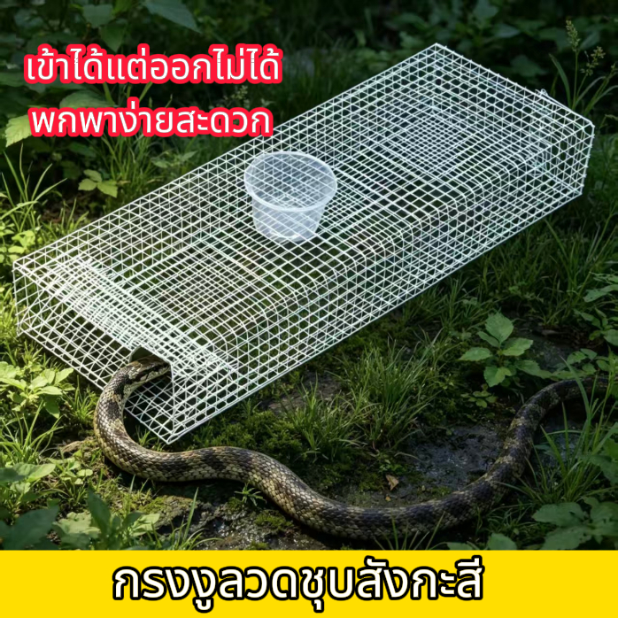 Snake Catcher 50cm x 22 x 10 พอร์ตคู่/กรงลวดพอร์ตเดี่ยว