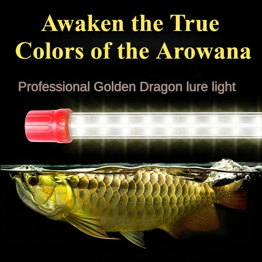 ไฟล่อ Golden Dragon Arowana มืออาชีพ, RGB, กันน้ํา, โคมไฟ LED 13W-30W