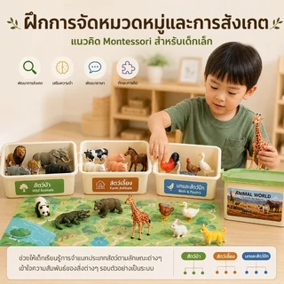 Dimoarch โมเดลสัตว์ ของเล่นจำลอง สวนสัตว์จำลอง สัตว์ป่า สัตว์ฟาร์ม ของเล่นเสริมพัฒนาการ พร้อมกล่องเก็บ