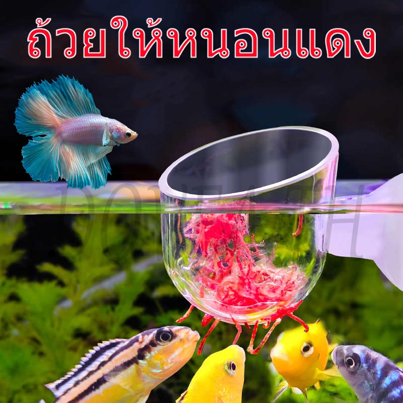 ถ้วยให้อาหารหนอนแดงเครื่องป้อนกรวยหนอนแดงถ้วยพืชน้ําถ้วยให้อาหารหนอนน้ําขนาดเล็กแบบพกพาเหมาะสําหรับพืชน้ําหมัดน้ํากุ้งไส้เดือน