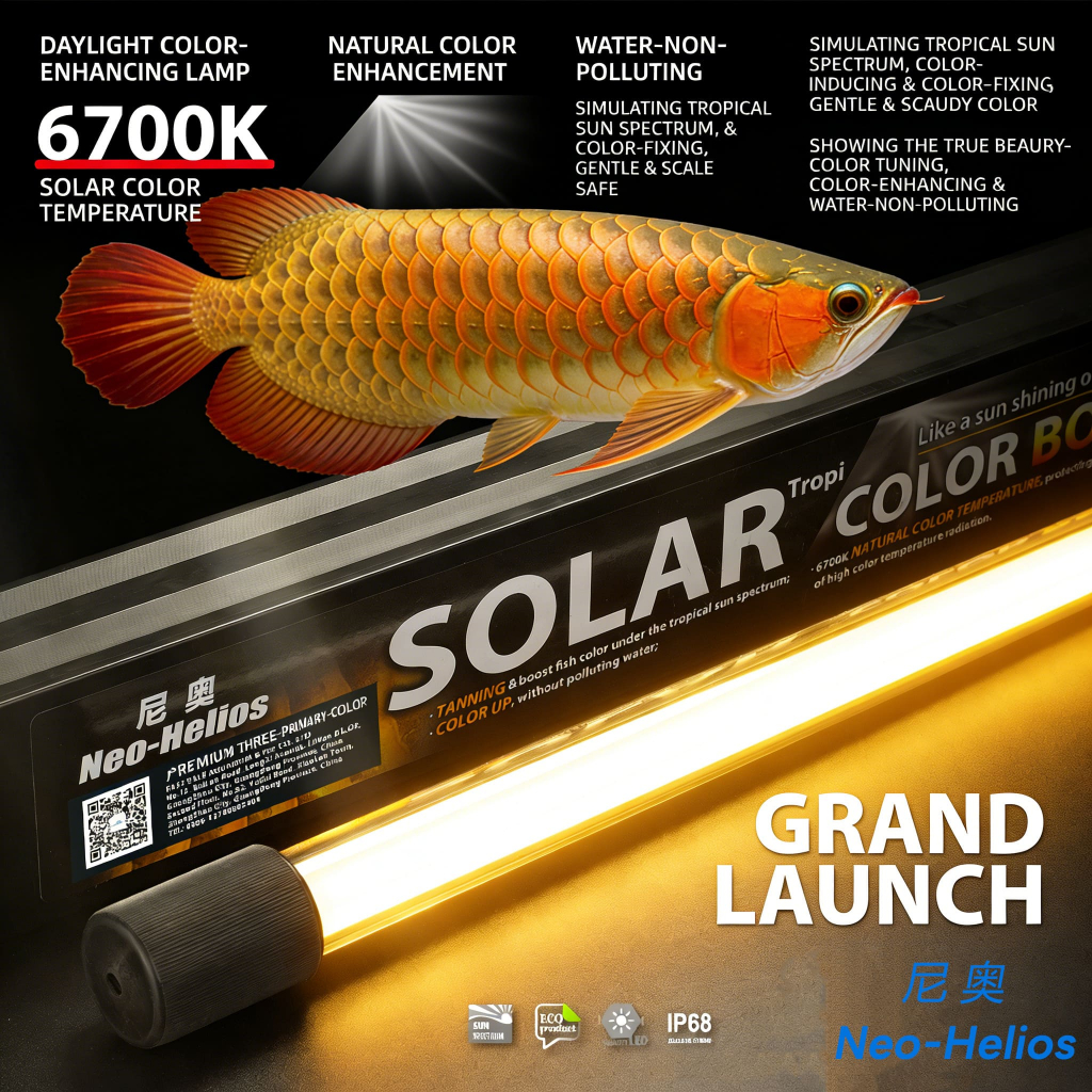HOT DEAL หลอดไฟ SOLAR Color Booster ของแท้💯 color training ไฟเทรนนิ่งปลา [Local Delivery]🚛TZR