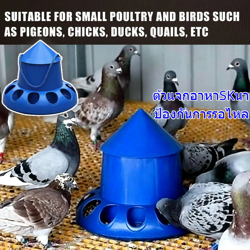 TOBE1 1 ชิ้นไก่ป้อนอัตโนมัติ, 25x23 ซม.พลาสติกป้อนสัตว์ปีก, 11 หลุมนกถังให้อาหารสําหรับไก่ Budgies