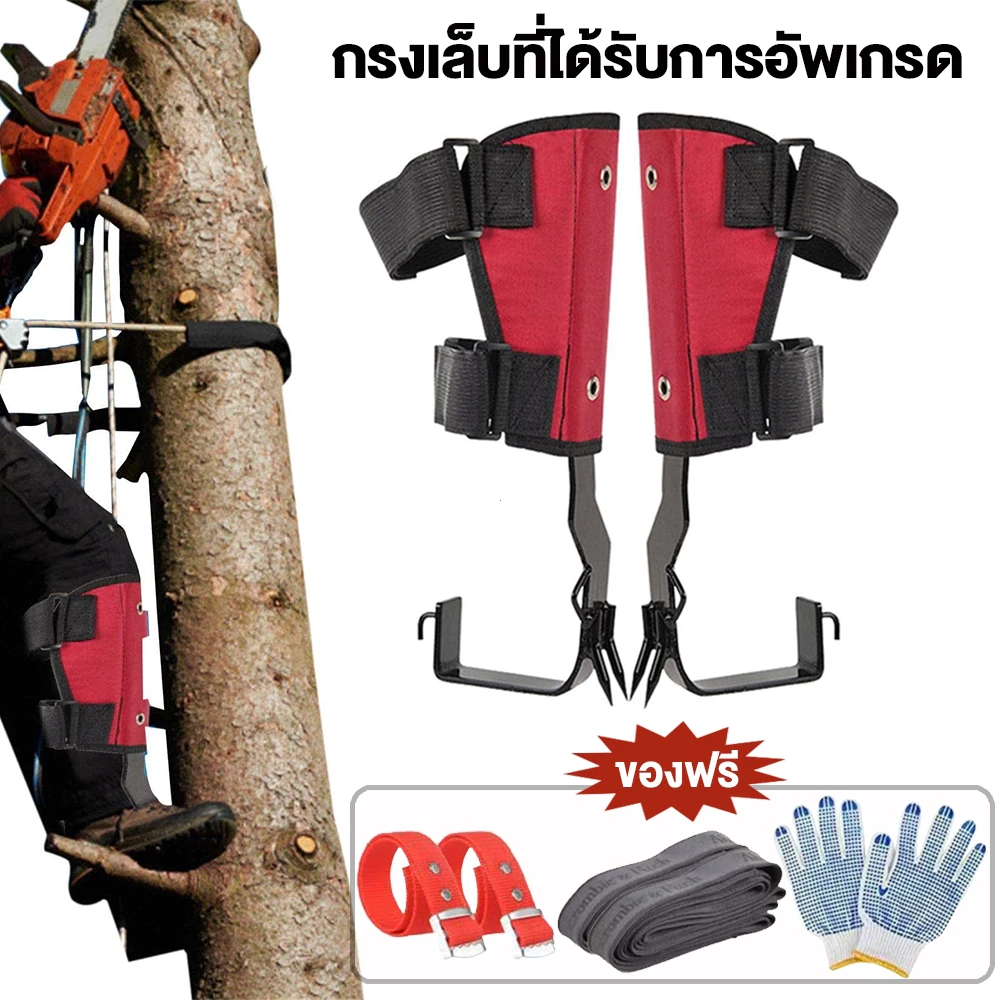 Tree Climbing อุปกรณ์ปีนต้นไม้ สเตนเลส ปีนต้นไม้ ​​ปลอดภัยมากขึ้น​ ให้ เข็มขัดเซฟตี้