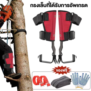 Tree Climbing อุปกรณ์ปีนต้นไม้ สเตนเลส ปีนต้นไม้ ​​ปลอดภัยมากขึ้น​ ให้ เข็มขัดเซฟตี้