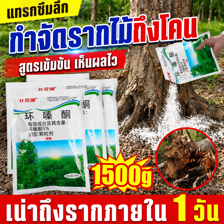 💥100% รากไม้เน่า💥ยาฆ่าต้นไม้ใหญ สูตรเข้มข้น500g ยาฆ่าหญ้า ตรงไปที่ราก สร้างมาเพื่อฤดูฝน ยากำจัดต้นไม้ใหญ่ แค่โรยเพียงเล็กน้อย ผงกำจัดต้นไม้ ไม่เป็นอันตรายต่อดิน ยาฆ่าตอไม้ กำจัดวัชพืชรากเน่า ผลติดทนนาน สารกำจัดกอไผ่ ยาฆ่าตอต้นไม้