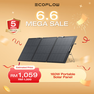 EcoFlow 160W Bifacial Lightweight Portable Solar Panel for Power Station, Foldable Solar Charger with Adjustable Kickstand, Waterproof IP68 for Outdoor Camping RV Off Grid System