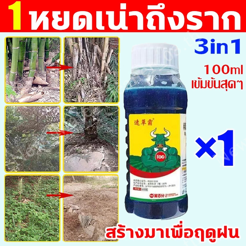 ยาฆ่าหญ้า ลบระหว่างวัชพืชค้างคืนกําจัดรากและรากตาย.ไม่เป็นอันตรายต่อดินรุ่นอัพเกรดสูง100มลต้นไม้โดยตรงฆ่ารากตอรากและรากตายขวดเดียวเทียบเท่า20ขวดกําจัดวัชพืชฆ่า วัชพืชและรากมัน