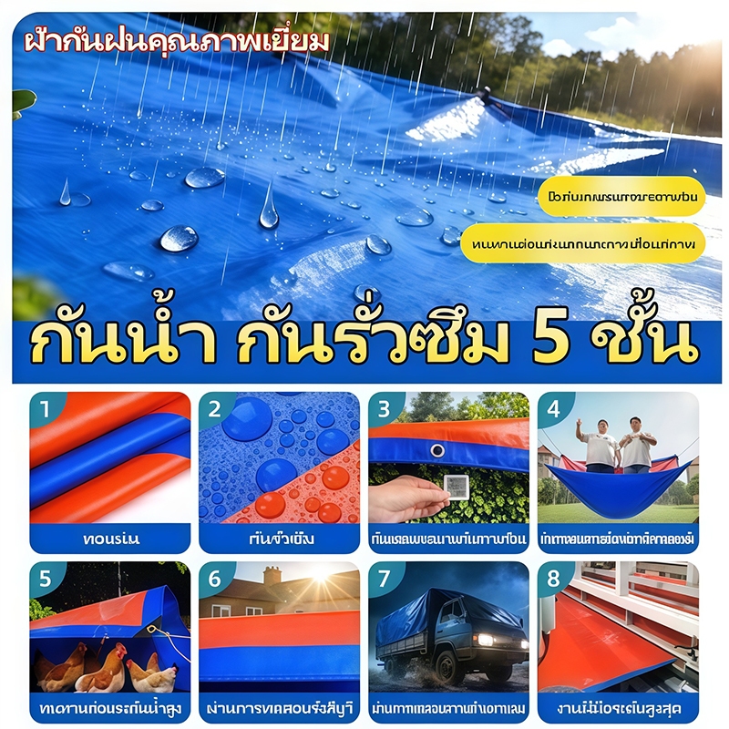 Thumbnail 9