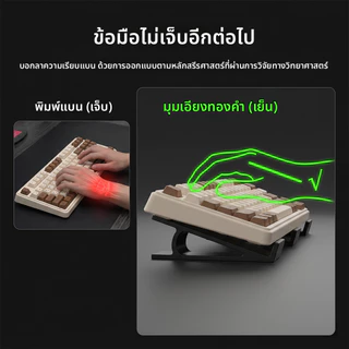 แป้นพิมพ์ความสูงวงเล็บตามหลักสรีรศาสตร์แป้นพิมพ์แผ่นเท้าสากลแป้นพิมพ์กลวงเล็บเอียง