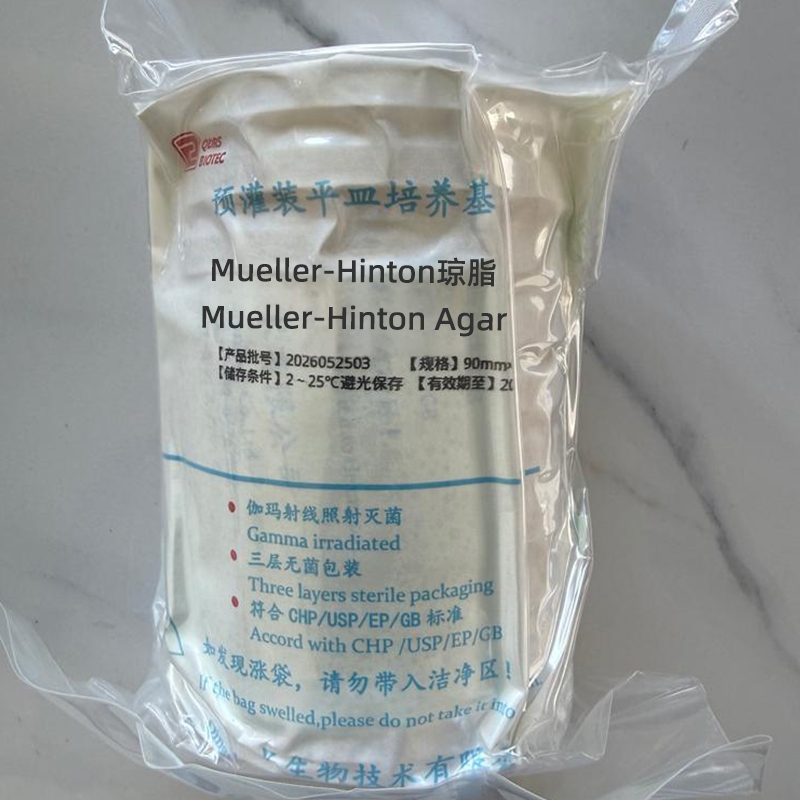 จาน Mueller-Hinton Agar MHA ผสมเลือดแกะ อาหารเลี้ยงเชื้อสำหรับทดสอบความไวของแบคทีเรีย