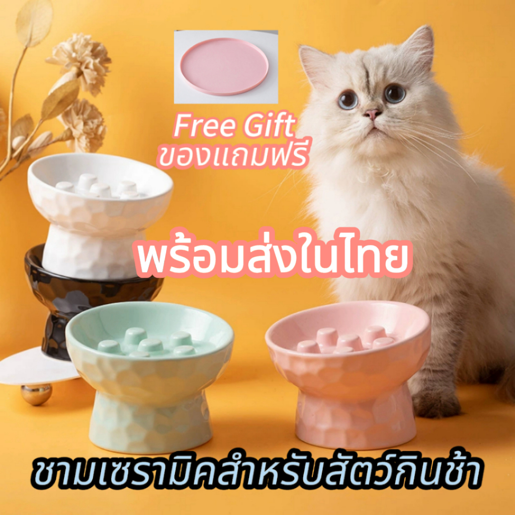 【พร้อมส่งในไทย ชามอาหารแมวเซรามิกขาสูง】 ชามหมา ป้องกันการหก บำรุงคอ กันสำลัก กินช้า ไม่โดนหนวด 14 ซม