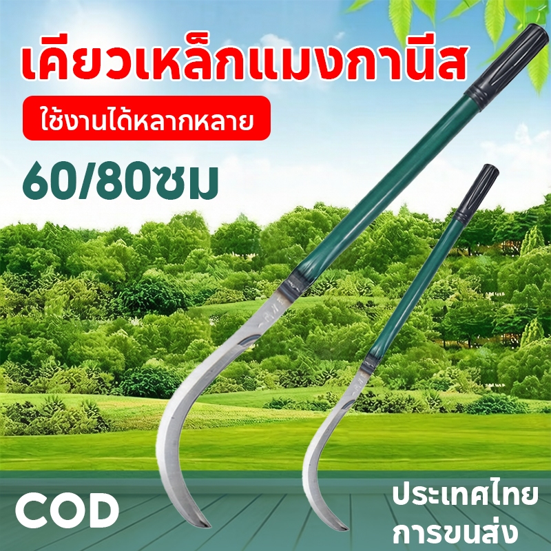 เคียวเหล็กแมงกานีส ด้ามยาว 60/80 ซม. ผลิตจากเหล็กแมงกานีสบริสุทธิ์ คมและทนทาน เหมาะสำหรับกำจัดวัชพืช ตัดแต่งกิ่งไม้ เก็บเกี่ยวผลกล้วย ฯลฯ