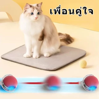 สินค้าใหม่ ของเล่นแมว ลูกบอล ลูกบอลกลิ้งสัตว์เลี้ยงอัจฉริยะ การเบื่อหน่ายด้วยตนเอง เครื่องมือที่มีประโยชน์ พร้อมเชือก ล้อเล่น ลูกบอลแมว ของเล่นแมว