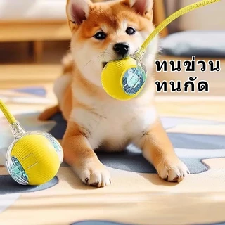 สินค้าใหม่ ของเล่นแมว ลูกบอล ลูกบอลกลิ้งสัตว์เลี้ยงอัจฉริยะ การเบื่อหน่ายด้วยตนเอง เครื่องมือที่มีประโยชน์ พร้อมเชือก ล้อเล่น ลูกบอลแมว ของเล่นแมว