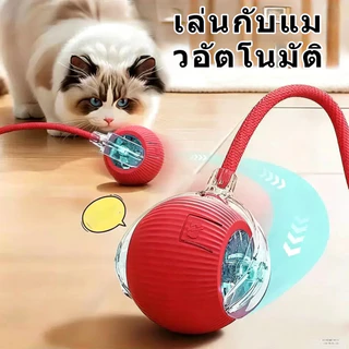 สินค้าใหม่ ของเล่นแมว ลูกบอล ลูกบอลกลิ้งสัตว์เลี้ยงอัจฉริยะ การเบื่อหน่ายด้วยตนเอง เครื่องมือที่มีประโยชน์ พร้อมเชือก ล้อเล่น ลูกบอลแมว ของเล่นแมว