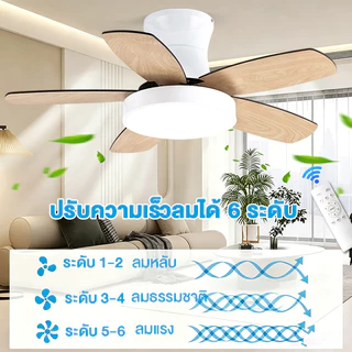 GOGEOUS พัดลมเพดาน มีไฟ led 52/48 นิ้ว พัดลมเพดานพร้อมไฟ ใบพัดไม้ 5 ใบ มอเตอร์ DC ประหยัดไฟ 6 ระดับความเร็ว ปรับแสง ไฟ3สี + ตั้งเวลา พร้อมรีโมท สไตล์นอร์ดิก เหมาะสำหรับห้องนั่งเล่น/ห้องนอน รับประกัน 10 ปี