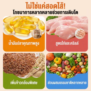 Flake Sale 韩国Crunchies夹heart猫Fal,60g