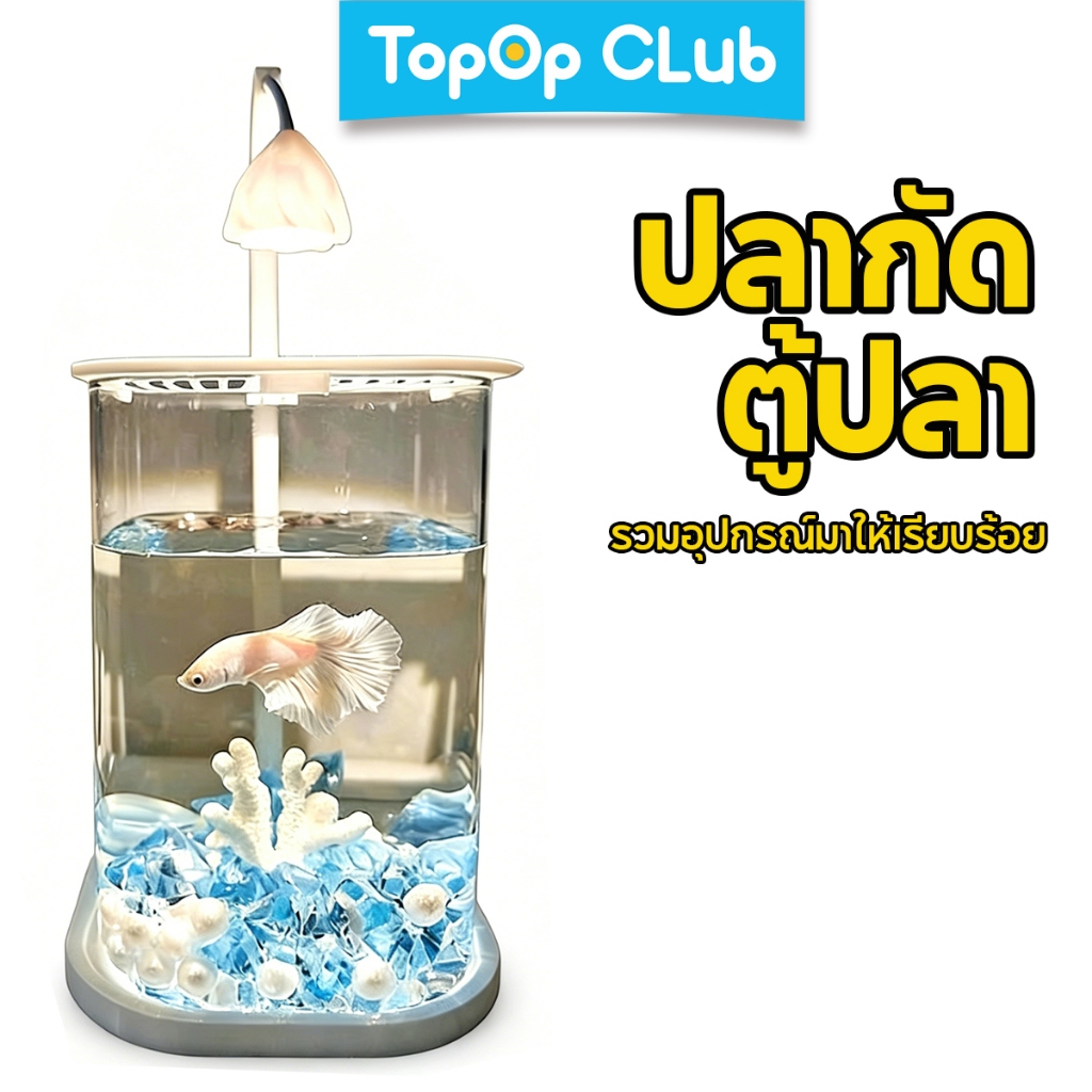 สูงสุด ปลากัด ตู้ปลาขนาดเล็กตู้ปลาโปร่งใสตู้ปลามินิการจัดสวนเครื่องประดับทนทานชามปลาสก์ท็อปพิพิธภัณฑ์สัตว์น้ําถัง