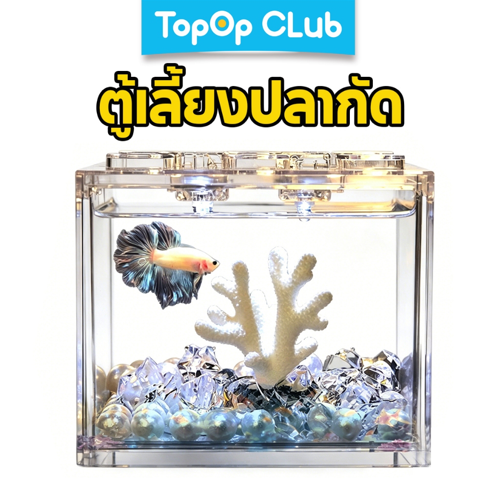 TOPOP ปลากัด ตู้ปลาตู้ปลาขนาดเล็ก กล่องเพาะพันธุ์ปลารุ่นที่ 2 ikan laga akuarium LED