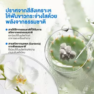 [NEW ธรรมชาติ 100%] usmile Optical White 2.0 ยาสีฟันม่วง ฟันขาว ลดคราบเหลือง ขจัดคราบชา กาแฟ สูตรธรรมชาติ 0 สีสังเคราะห์ 100g [ ลดคราบเหลือง ]