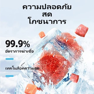อาหารเปียกแมว แซลมอนแท้ เนื้อมูส เนื้อแน่น ย่อยง่าย แมวโต/ลูกแมว ไม่เค็ม เปียกแมว KWEI