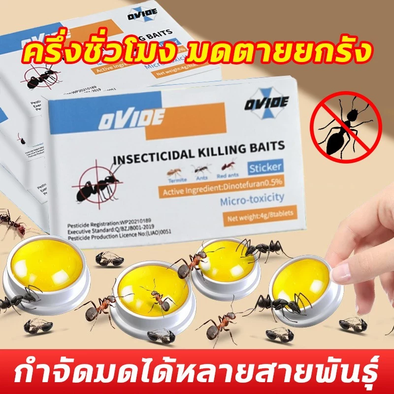 ฆ่ามด กําจัดมด กําจัดมด ขจัดมด ยกรัง ฆ่ามด ฆ่ามด หลายชนิด ยาเบื่อหนึ่ง