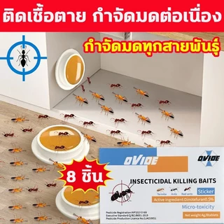 ฆ่ามด กําจัดมด กําจัดมด ขจัดมด ยกรัง ฆ่ามด ฆ่ามด หลายชนิด ยาเบื่อหนึ่ง