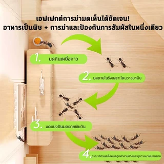 ฆ่ามด กําจัดมด กําจัดมด ขจัดมด ยกรัง ฆ่ามด ฆ่ามด หลายชนิด ยาเบื่อหนึ่ง