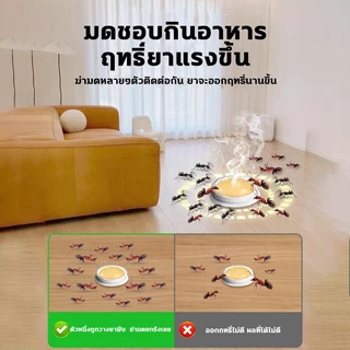 ฆ่ามด กําจัดมด กําจัดมด ขจัดมด ยกรัง ฆ่ามด ฆ่ามด หลายชนิด ยาเบื่อหนึ่ง