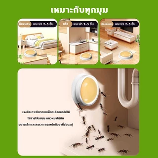 ฆ่ามด กําจัดมด กําจัดมด ขจัดมด ยกรัง ฆ่ามด ฆ่ามด หลายชนิด ยาเบื่อหนึ่ง