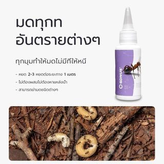 เจลกันมด 30 กรัม ทั้งมดโคลอน ยาฆ่ามด.