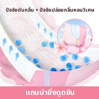 Cocoyo ทิ้งชาย Wrap ผ้าอ้อมสุนัขปรับสัตว์เลี้ยง All-Absorbsor ชายสุนัข Wrap- Manner เข็มขัด Quick Absorption ทิ้ง Sakura ผ้าอ้อมสําหรับสุนัขประจําเดือน