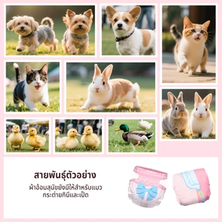 Cocoyo ทิ้งชาย Wrap ผ้าอ้อมสุนัขปรับสัตว์เลี้ยง All-Absorbsor ชายสุนัข Wrap- Manner เข็มขัด Quick Absorption ทิ้ง Sakura ผ้าอ้อมสําหรับสุนัขประจําเดือน