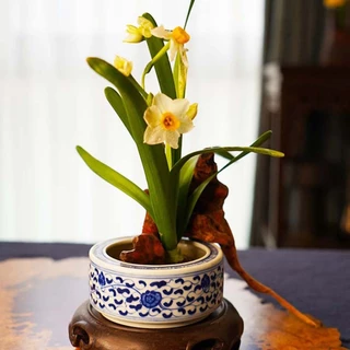 HNTH รอบ Ikebana Kenzan กบดอกไม้พร้อมปะเก็นยาง Art Fixed Arranging เครื่องมือ HNTH