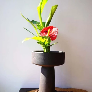 HNTH รอบ Ikebana Kenzan กบดอกไม้พร้อมปะเก็นยาง Art Fixed Arranging เครื่องมือ HNTH