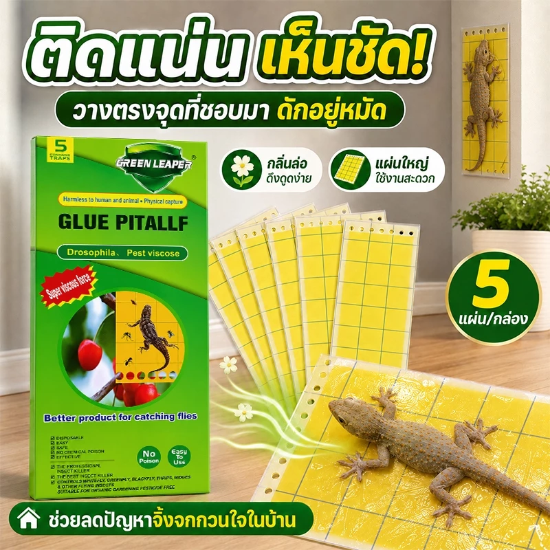 🦎กาวเหนียวจับจิ้งจก🦎MK ดักจิ้งจก แผ่นกาวดักจิ้งจก กำจัด 2 ฟรี 1 ล่อแรง ล่อจับได้เร็ว
