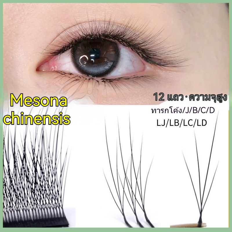 นางฟ้าหญ้าดอกไม้กราฟต์ขนตาขนยาวจําลองโคลเวอร์สี่ใบสี่สไตล์จีนรูปตัว L นุ่มธรรมชาติความงามขนตาร้านทุ่มเท