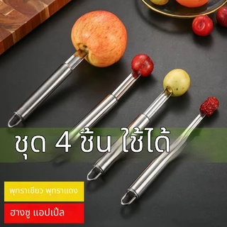 💥พร้อมส่ง COD💥 ชุดเครื่องมือเอาเมล็ดผลไม้สแตนเลสหนาพิเศษ 4 ขนาด ใช้เอาเมล็ดพุทรา ลูกพลับ ลูกแพร์ แอปเปิล ได้เร็วมาก แค่กดครั้งเดียวเมล็ดหลุดออก วัสดุสแตนเลสไม่เป็นสนิม ทำความสะอาดง่าย เหมาะใช้ทำขนมและเตรียมผลไม้ในครัวบ้าน