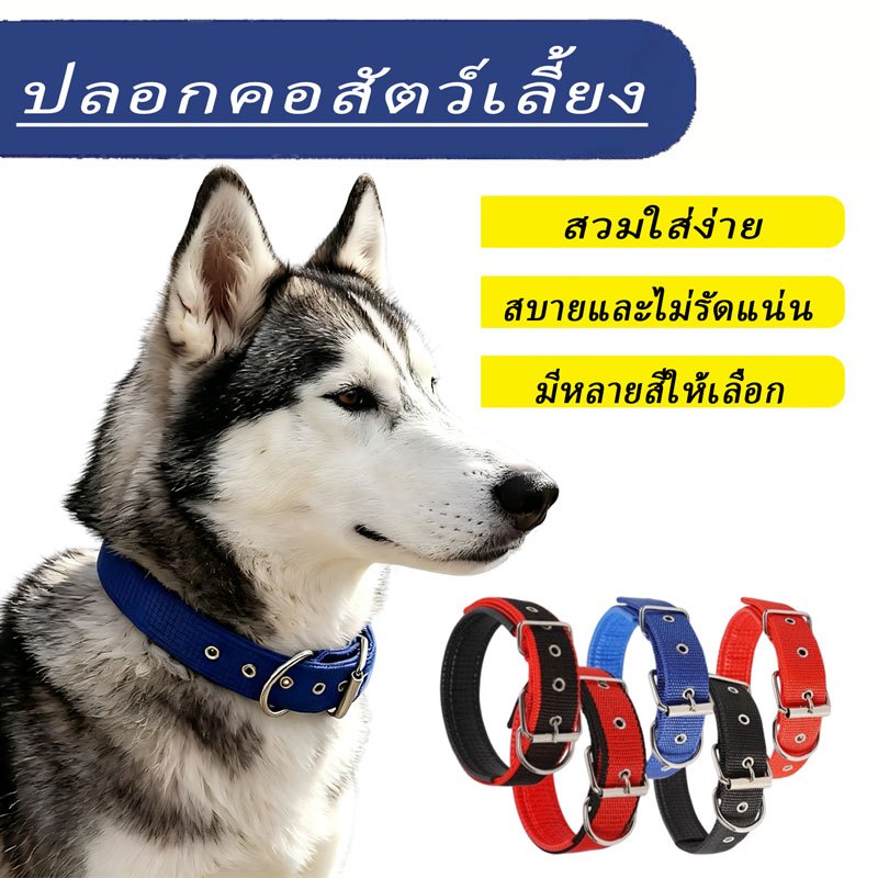 ปลอกคอสุนัขไนล่อน ไซส์ ส-XXL เสริมฟองน้ํานุ่มด้านในกันคอตามใจ มีให้เลือกหลากสีปรับขนาดได้