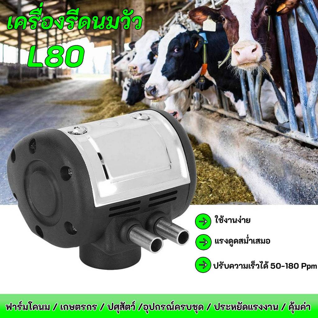 เครื่องรีดนมวัว|สแตนเลส L80|สีเงิน|ทนทาน|ปรับความเร็วได้ 50-180 Ppm|ดูดนมแรง|ใช้งานง่าย|ฟาร์มโคนม|เกษตรกร|อุปกรณ์ครบชุด|ประหยัดแรงงาน