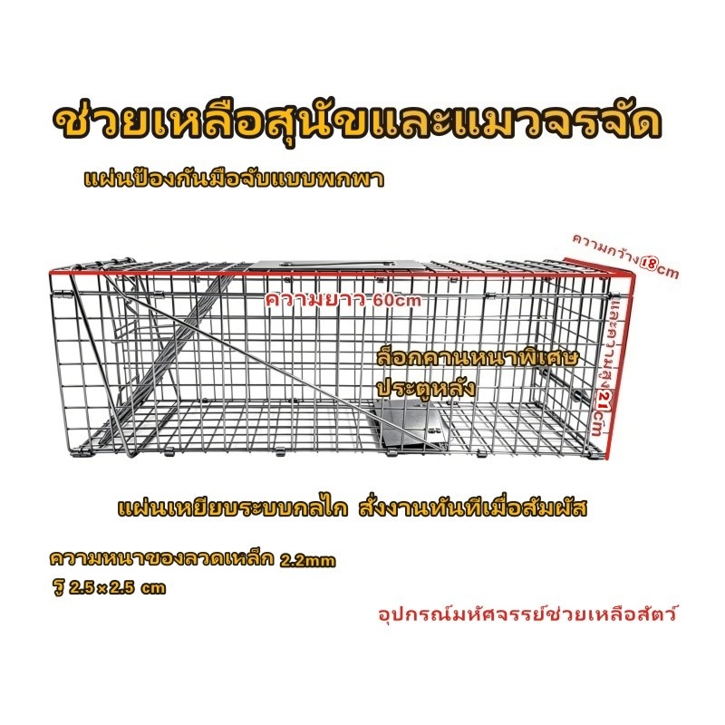 กู้ภัยของมนุษย์แมวจับแมวกรงจับกรงแมวจับกรง