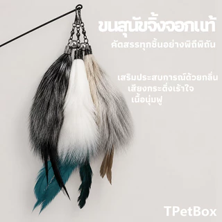 พร้อมส่ง! ไม้ฟาดแมวขนฟ็อกซ์ธรรมชาติ ขนนกแท้ ด้ามยืดหดได้ยาวพิเศษ หัวเปลี่ยนได้ คุณภาพระดับมืออาชีพ กระตุ้นสัญชาตญาณนักล่า แมวเล่นเองได้