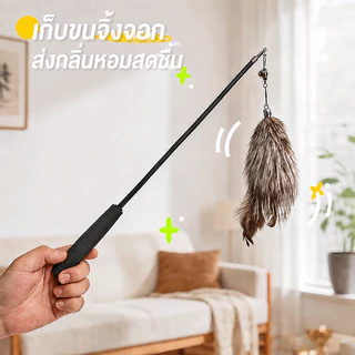 พร้อมส่ง! ไม้ฟาดแมวขนฟ็อกซ์ธรรมชาติ ขนนกแท้ ด้ามยืดหดได้ยาวพิเศษ หัวเปลี่ยนได้ คุณภาพระดับมืออาชีพ กระตุ้นสัญชาตญาณนักล่า แมวเล่นเองได้