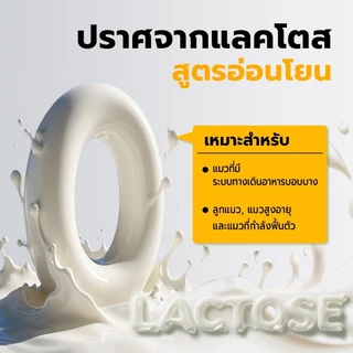 [ ชุดคู่ 48 แพ็ค ] Bite Of Wild Cat Pouch 3 รสที่แตกต่างกันนมแพะนิวซีแลนด์คุณภาพสูง Lactoferrin อาหารแมวเปียก 70g