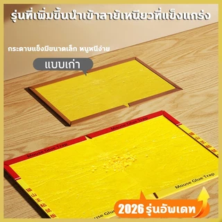 1แถม9 กาวดักหนู แบบสําเร็จรูป แผ่นกาวดักหนู กระดาษใหญ่ขึ้นหนาขึ้นเหนียวขึ้นหนีไม่ได้ กาวดักหนูอย่างดี แผ่นใหญ่