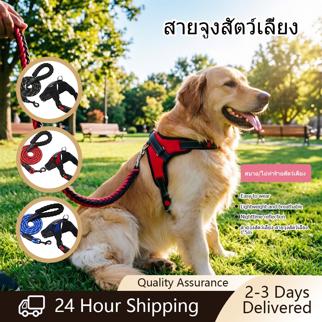 สายจูงสัตว์เลี้ยงสายรัดหลังหน้าอกสําหรับสุนัขแมวคืนสะท้อนแสงปรับขนาดรูปแบบต่างๆ