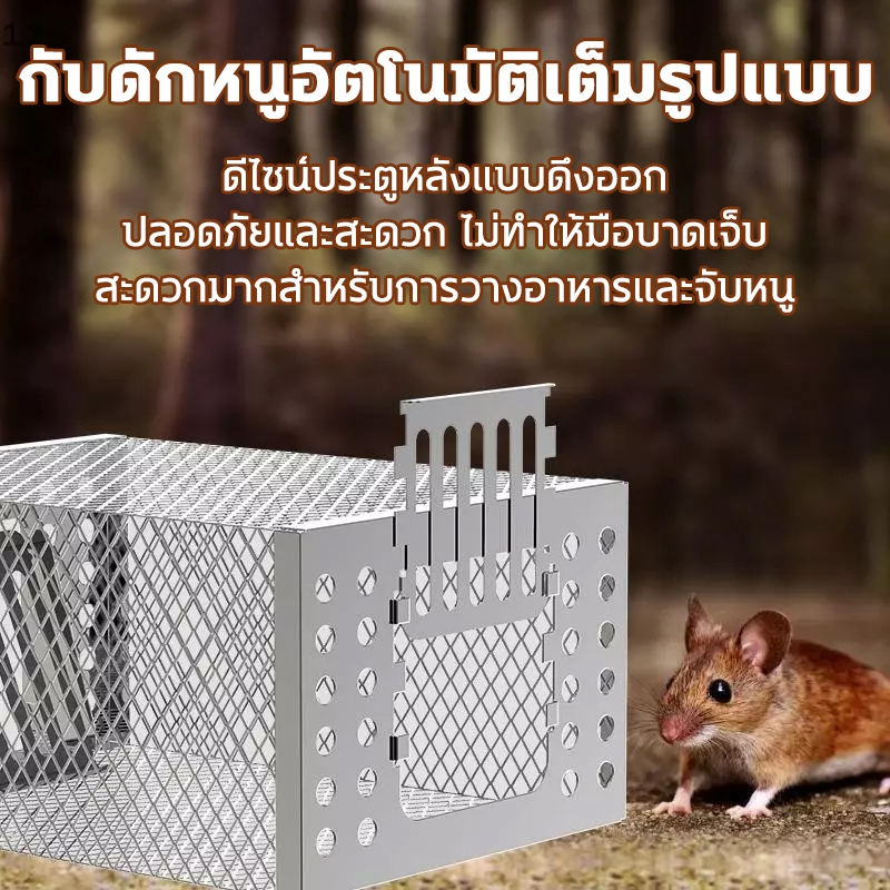 11 กับดักหนูที่มีประสิทธิภาพสูงอัตโนมัติอย่างต่อเนื่องรอบดักหนูบ้านสวนหนูจับสิ่งประดิษฐ์ปลอดภัยและไม่เป็นอันตรายจับ11