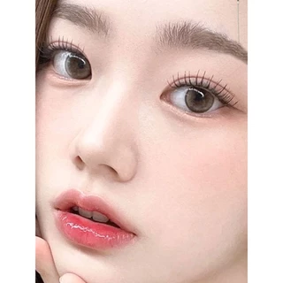 5 คู่ ขนตาปลอมแผ่นเดียว สไตล์ตาการ์ตูน ลุคธรรมชาติ สำหรับแต่งหน้าประจำวัน รูปตัวยู สไตล์เกาหลี